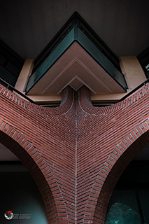 Immagine Photo Contest 2025