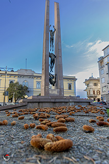 Immagine Photo Contest 2025