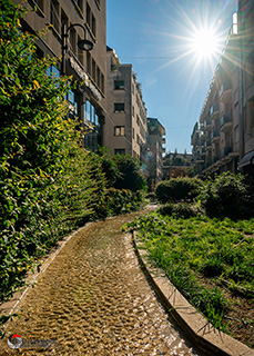 Immagine Photo Contest 2025