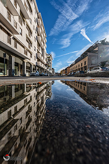 Immagine Photo Contest 2025