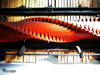 Immagine Photo Contest 2025