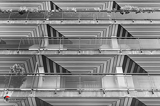 Immagine Photo Contest 2025