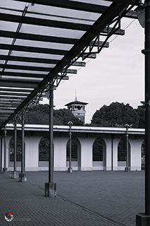 Immagine Photo Contest 2025