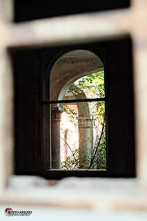 Immagine Photo Contest 2025