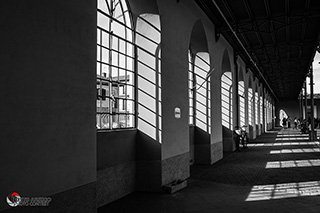 Immagine Photo Contest 2025