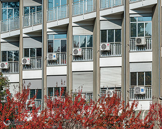 Immagine Photo Contest 2025