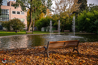 Immagine Photo Contest 2025